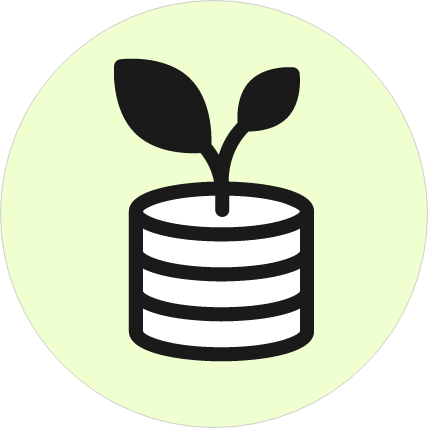 ERP/Financial Tool Expertise