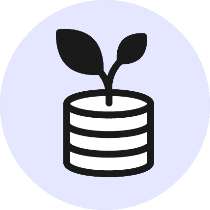 ERP/Financial Tool Expertise